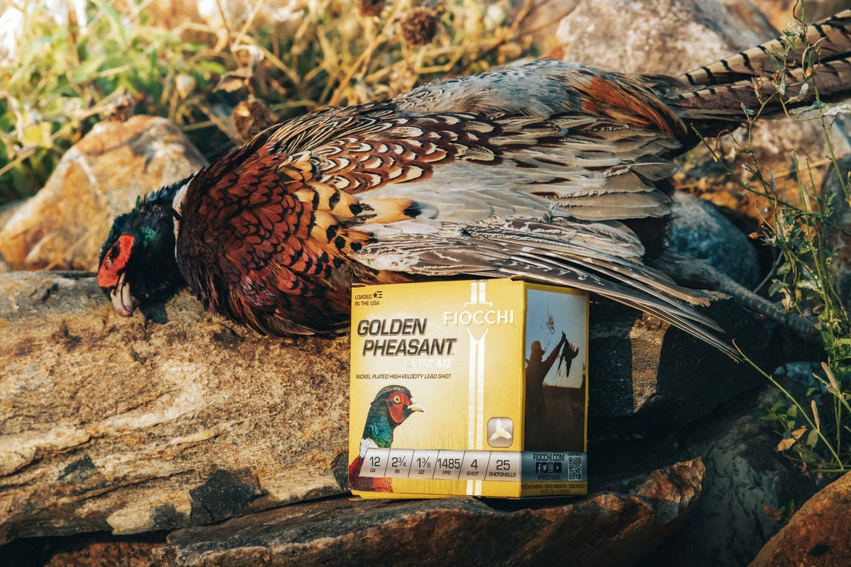 Fiocchi Golden Pheasant: Range Testing a Classic Upland Load